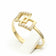 files/GDZ321.-chryso-dachtylidi-9kt-petres-zircon.jpg