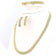 products/chryso-set-14-ct-SET-G123..jpg